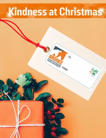 Brooke gift tag Brooke gift tag