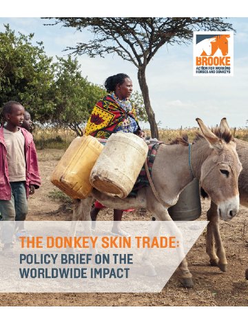Policy brief front cover Policy brief front cover