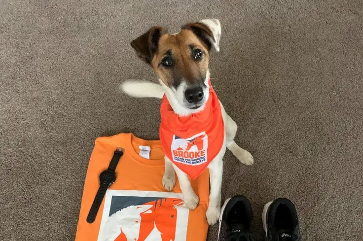 Fundraise your own way for Brooke