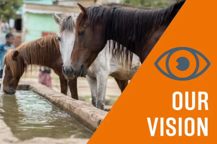 An image of horses drinking is overlaid with an orange triangle that says 'our vision'' and has an eye logo on it