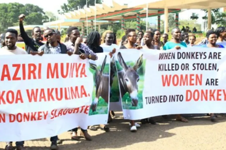 A group of people stand outside while holding banners calling for an end to the donkey skin trade