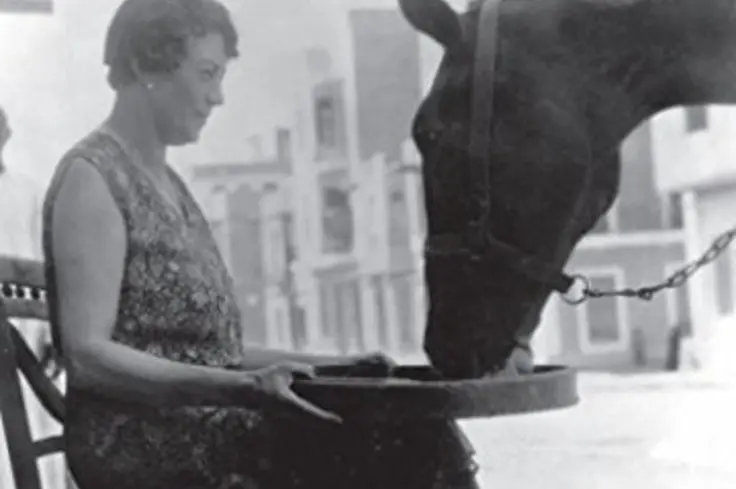 A photo of a black and white book cover featuring Dorothy Brooke with a horse