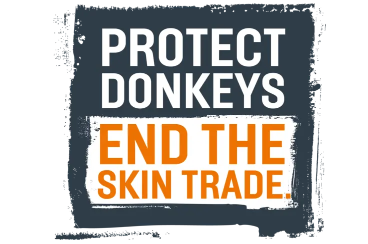 Brooke's protect donkeys, end the skin trade logo