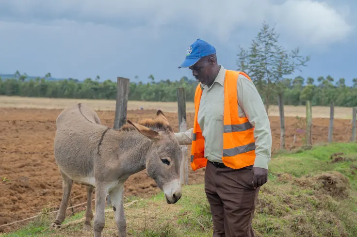 Elijah standing with a donkey by a field 