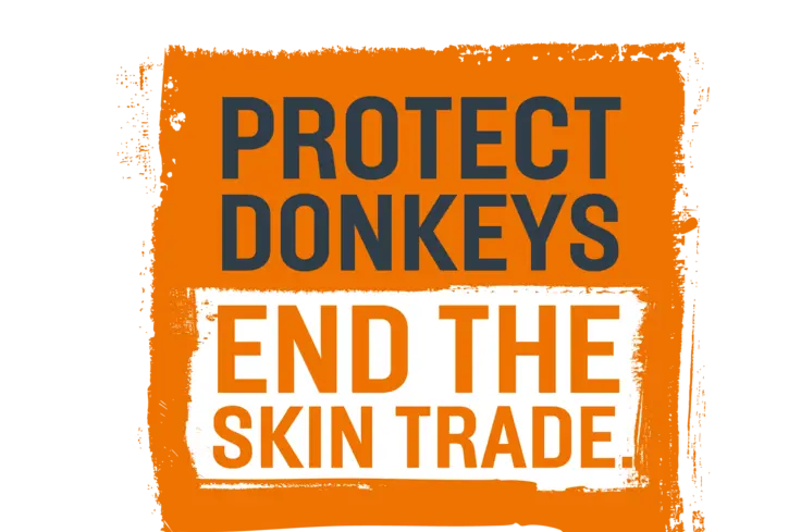 Protect donkeys end the skin trade - lgo 