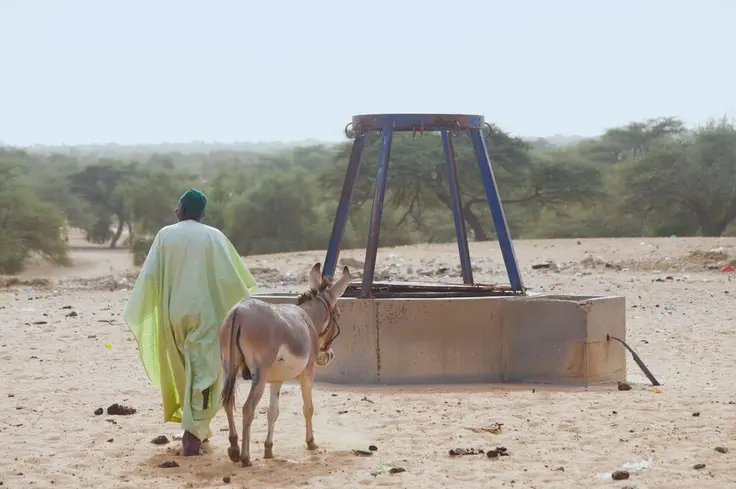 A man and a donkey walk together
