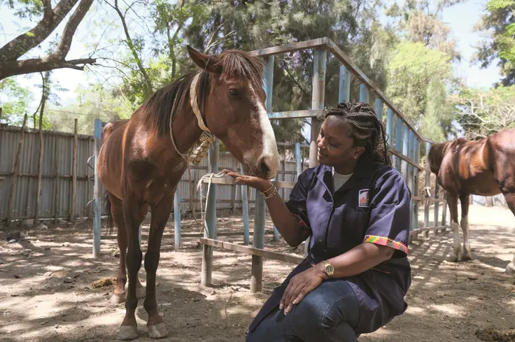 A woman in a Brooke uniform sits with a horse