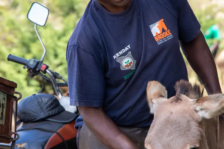 Credit: Bill Bradshaw