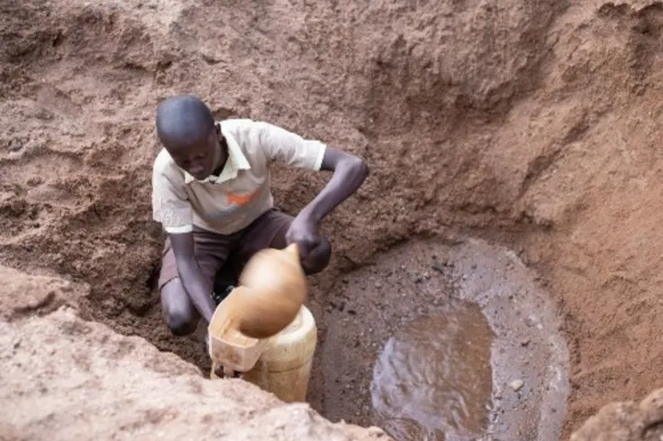 Credit: Bill Bradshaw