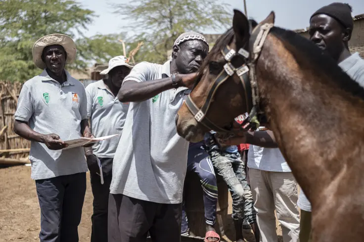 Brooke staff in Senegal. Photography Credit: Sylvain Cherkagui. 