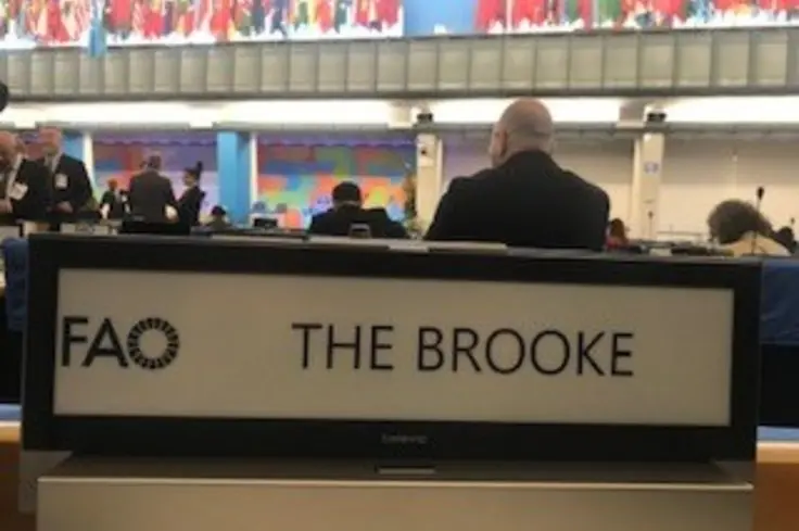 Brooke at FAO landscape.jpg