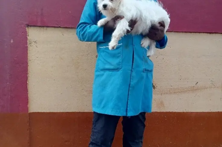 Dr Josphat stands holding a small white dog