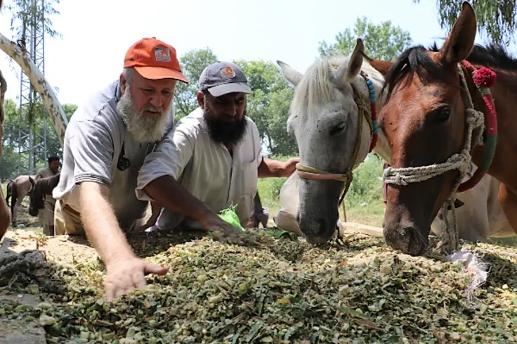 Feeding horses in floods (landscape).png