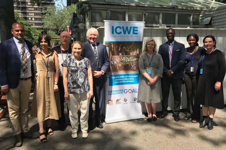 Representatives of ICWE at the UN