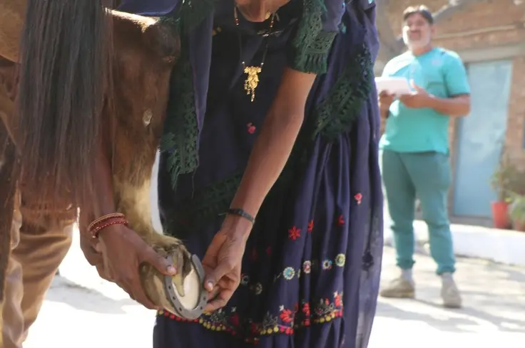 Moomal, Pakistan portrait.jpg