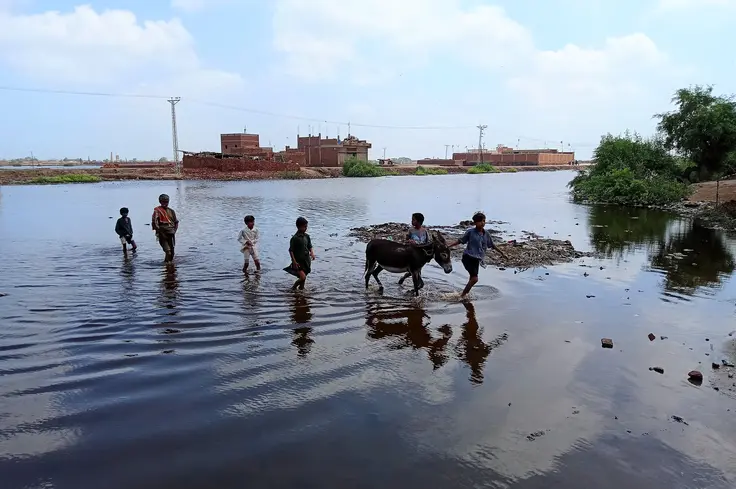 Equines assist in 2022 Pakistan floods