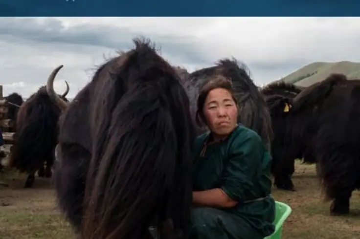 Action for Animal Health report front page