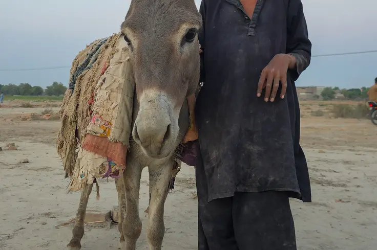 Boy with donkey in Pakistan