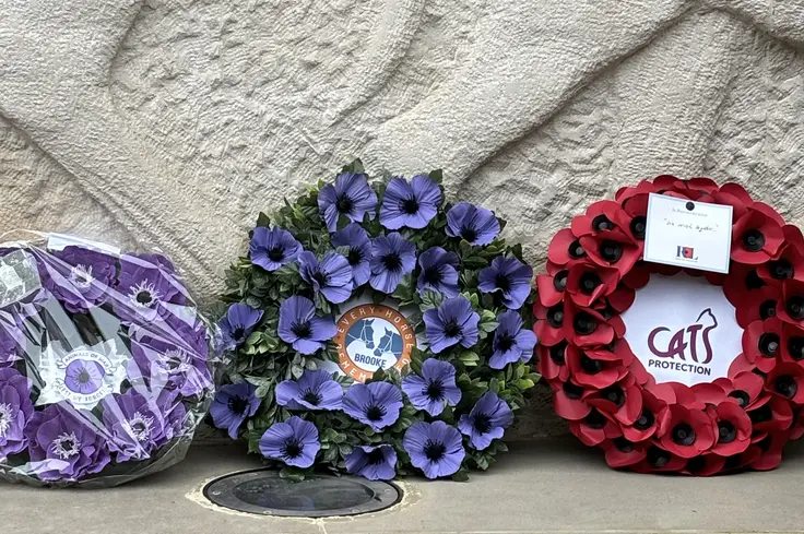 Wreaths at the Animals in War Memorial London service 2024