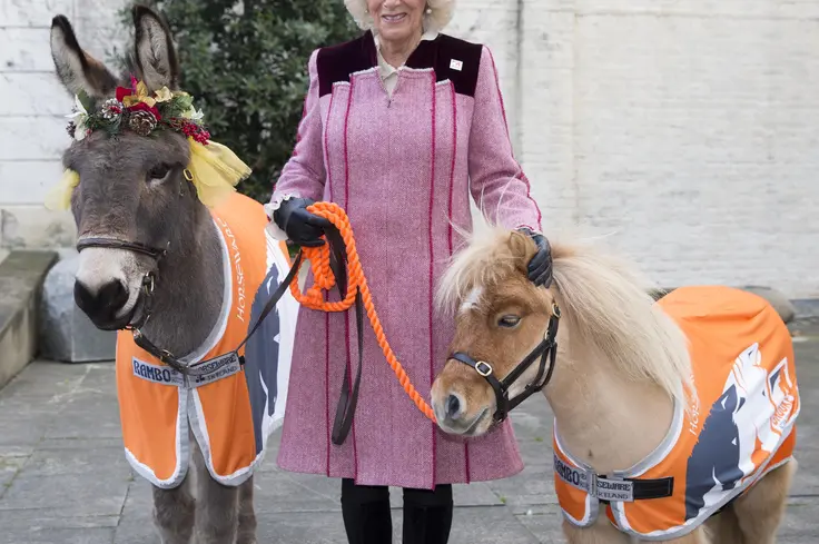 Her Majesty The Queen with donkeys at charity carol service