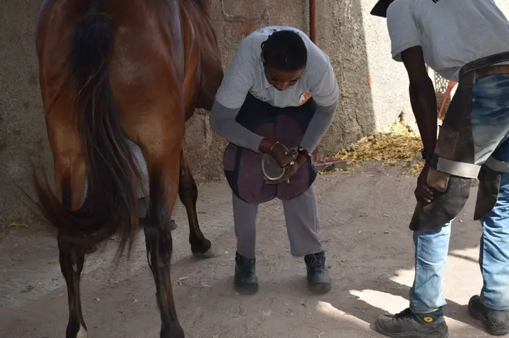 A female farrier at work