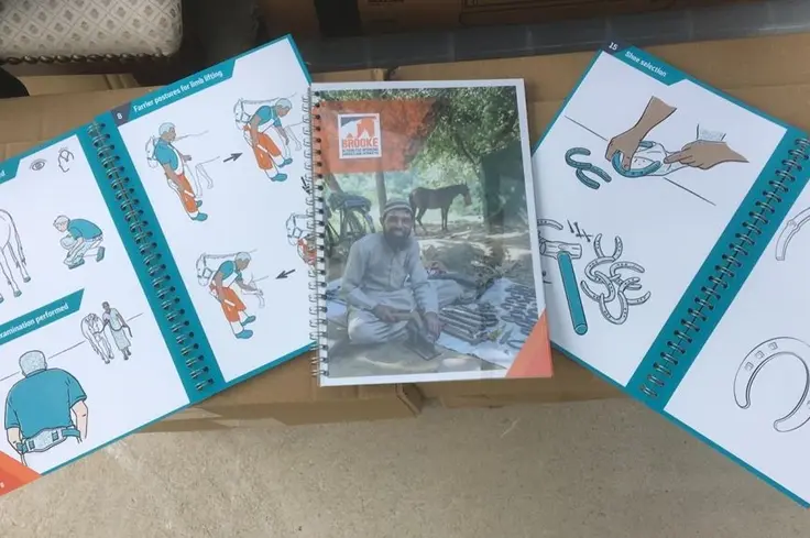 pocket book landscape.jpg