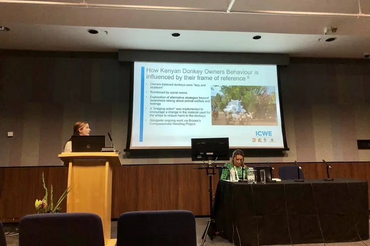 Brooke and ICWE give presentation at vet conference