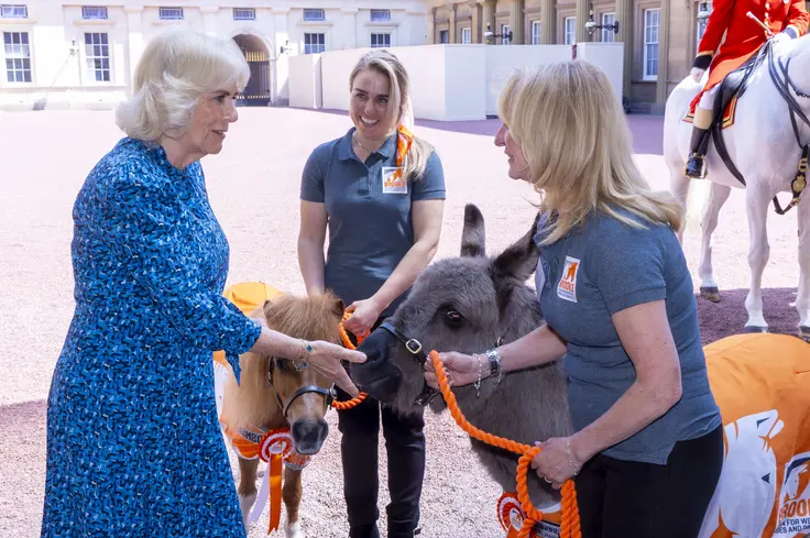The Queen with Brooke staff, pony and donkey 