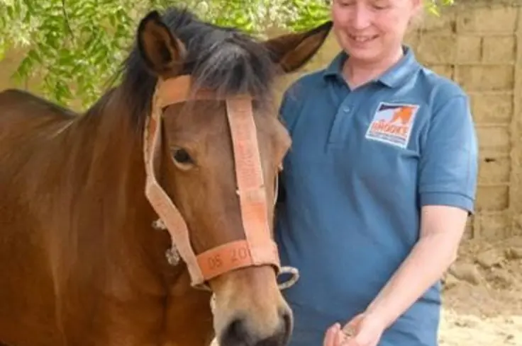 Brooke vet with horse