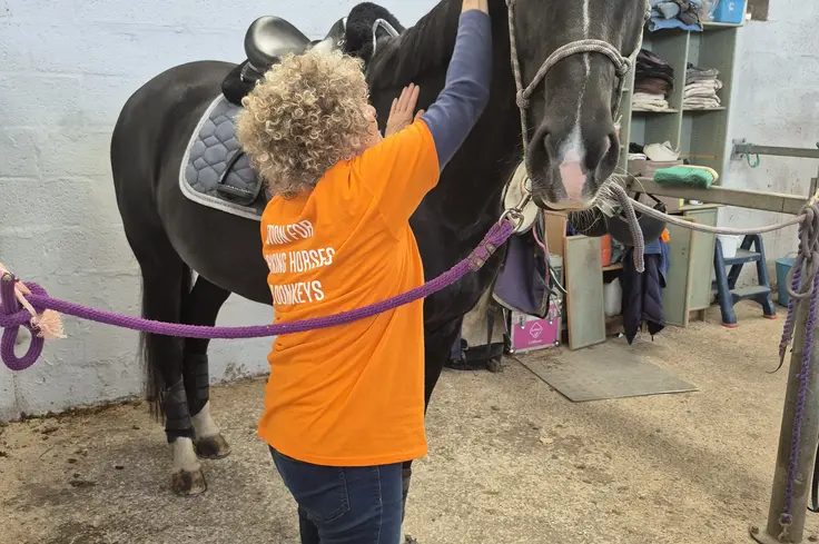 Woman tacks horse in stable.