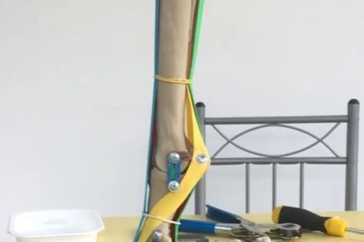 teaching model portrait.jpg