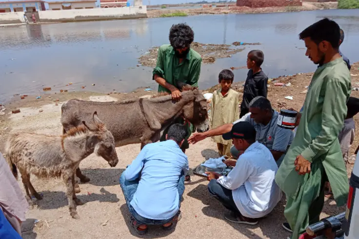 treatment taking place in pakistan floods (landscape).png