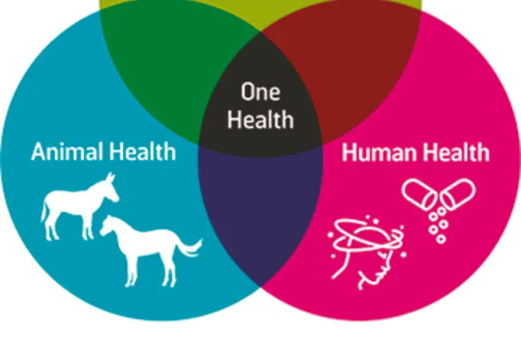 One Health infographic