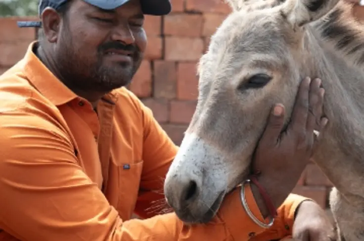 Harekrishna, a donkey owner