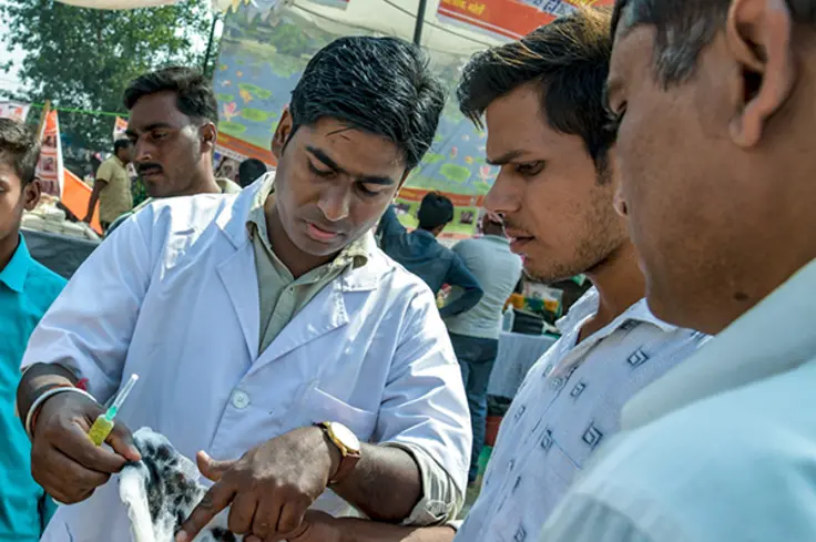 Brooke Animal Health Practitioners at an equine fair in India