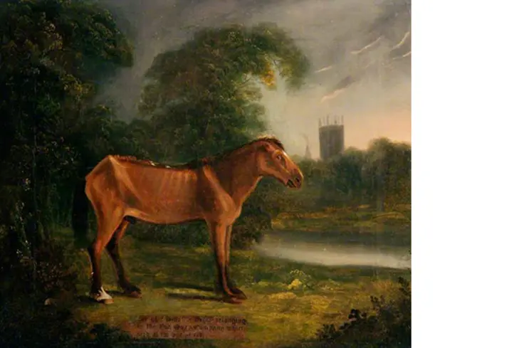 'Old Billy' painting by W. Taylor, courtesy of Warrington Museum & Art Gallery (Culture Warrington)